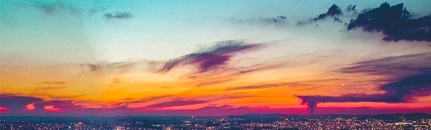 中卫茶虫网_中卫品茶